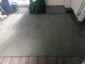 rug0_01