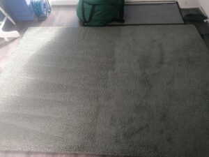 rug0_02